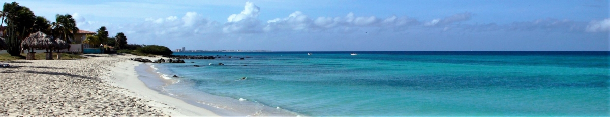 Aruba Beach Panorama (Public Domain / Pixabay)  Public Domain 
License Information available under 'Proof of Image Sources'